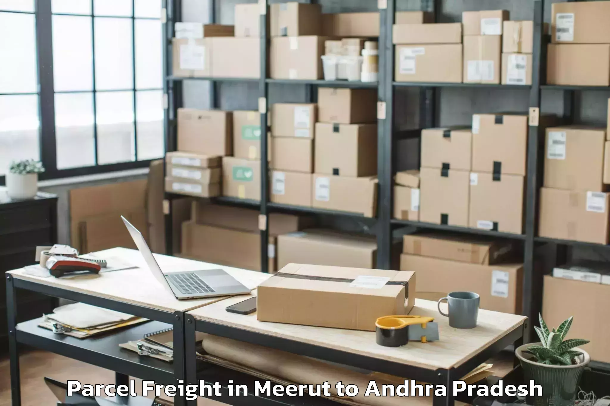 Reliable Meerut to Doranala Parcel Freight